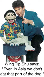 E-mail Wing Tip Shu!